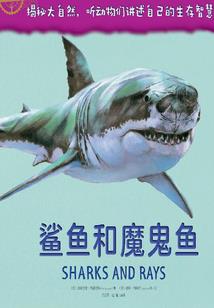 会计考试有哪几个科目啊