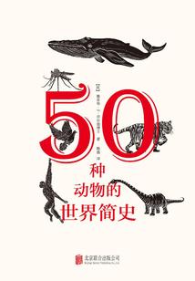 广州市财政袁晓伟