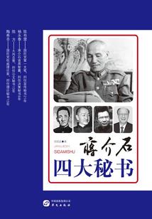 职业会计分录