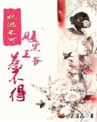 财政项目储备概况怎么写