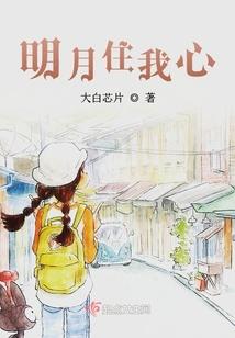 包河区财税外包