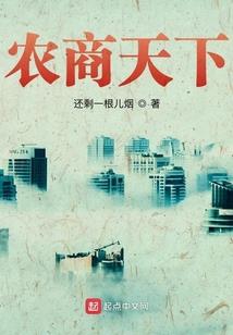 政府债务监管财政