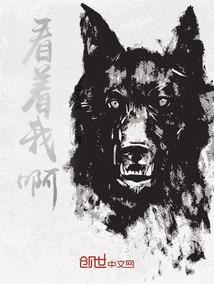 总会计师高