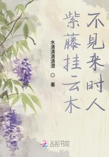 京东财税客服
