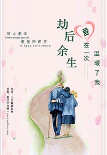电子会计分录总结
