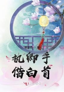 全英文会计考试很难吗