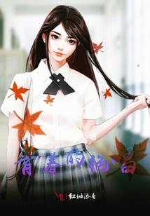 及时雨财税