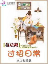 初级会计继续再教育
