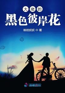 泰兴财税服务平台
