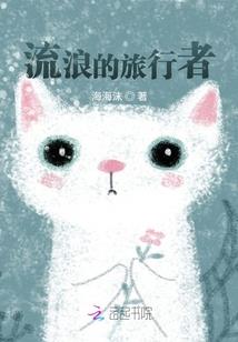 东奥的注会课怎么听