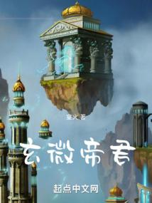 G20财政部