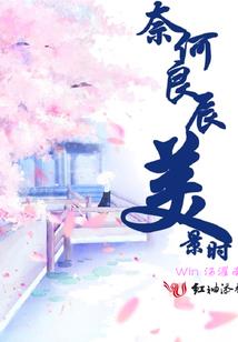 备考cpa的科目