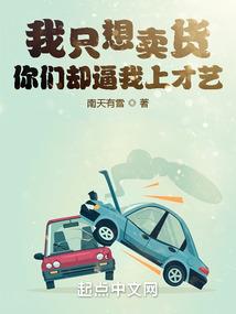 财政会计含义