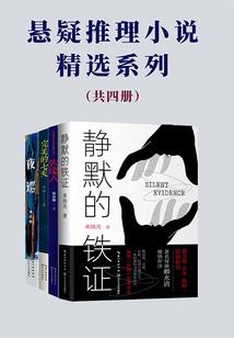 新疆公司财税流程