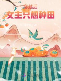 真实的会计师身世