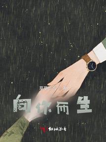 狭义财政转移支付