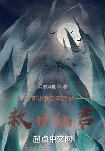 高级会计师张志强的情况
