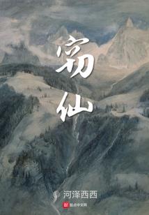 注册会计师换发证书