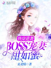 巴中的财税公司哪家好点