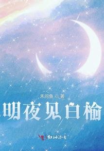 张华总会计师简历