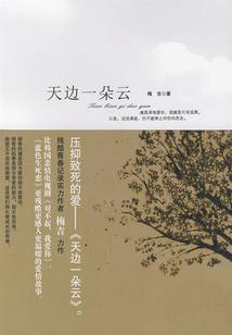 管理会计考试学什么