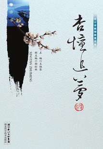 初级会计实务理论