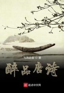 会计政策说明范文