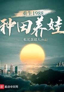 锦泽财税