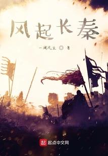 总会计师主体责任