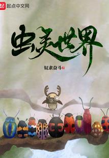 中级会计收费海南