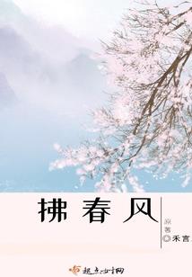 会计分录不包括