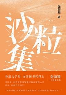 财政类实习