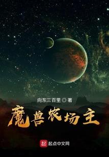 中级会计与职称