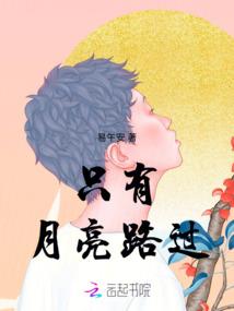 工业园会计师
