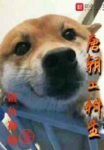 丹元会计