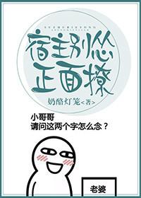 邛崃专业财税代理