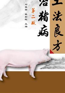会计凭证查阅证明