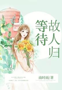 晟德财税