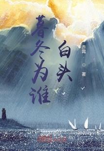 24年会计考试科目