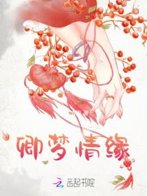 2017中级会计档案号