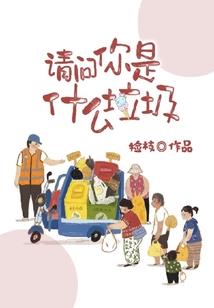 可以只考注册会计师