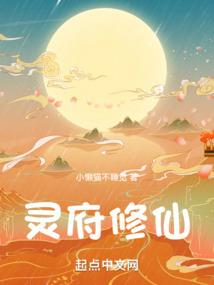 中国会计师独立审计