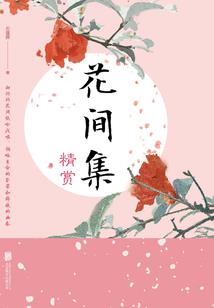高级会计师政府会计科目