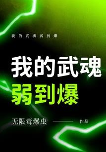 关于会计的文献