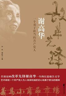2017遴选考试会计