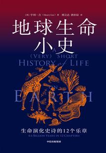 云南省会计从业成绩查询