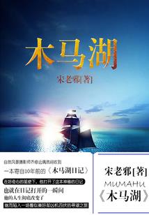 国际法务会计师描述