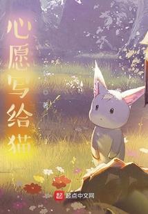 大足智能财税