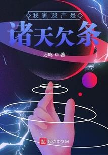 新疆中级会计考点地区