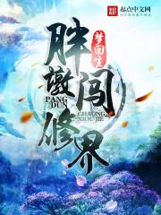 美国政府会计师